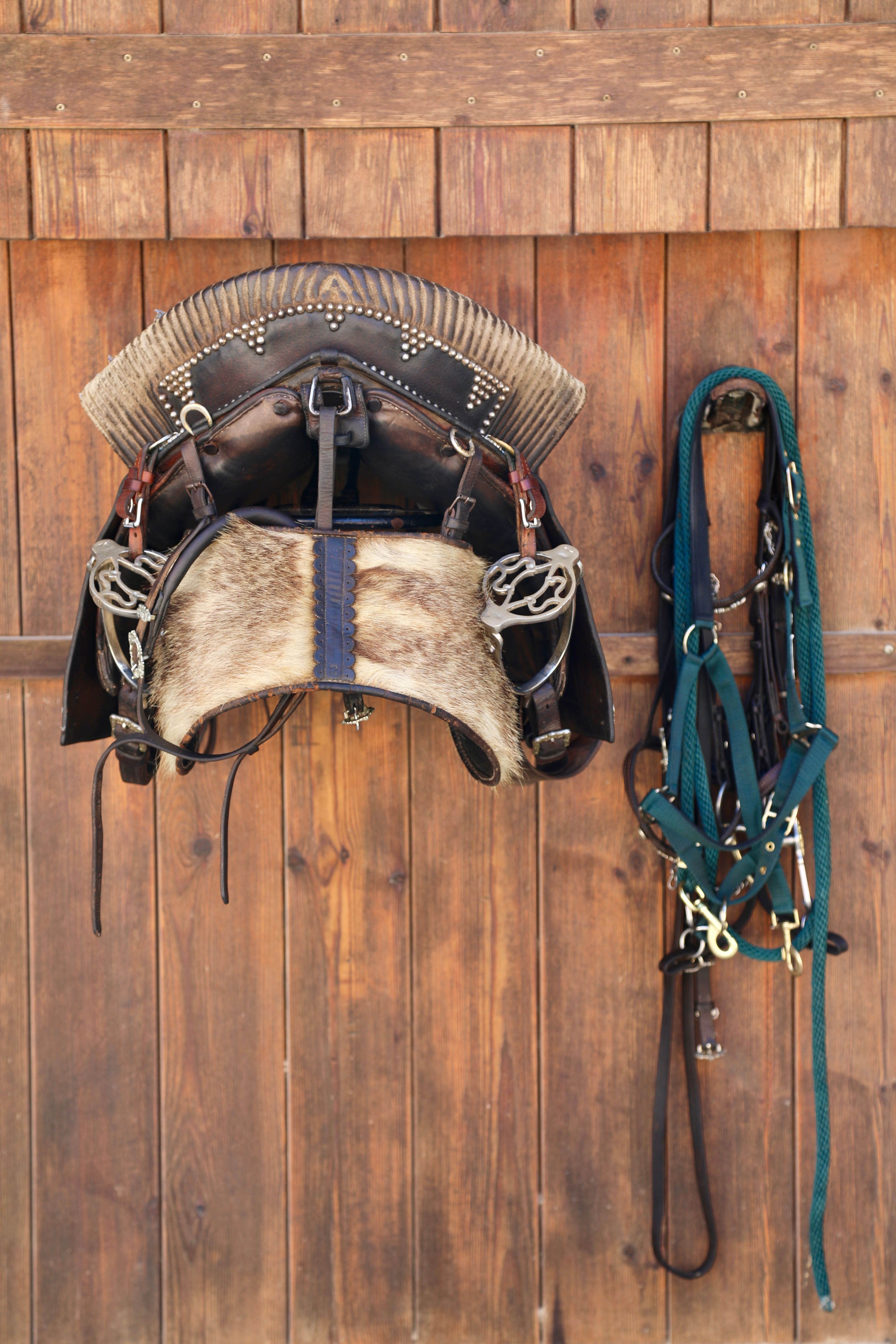 A classic horse saddle and bridle hanging on a wooden wall in Sintra, Portugal.