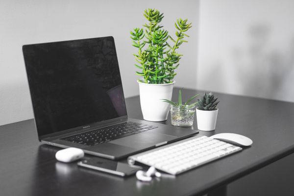 Professional Services