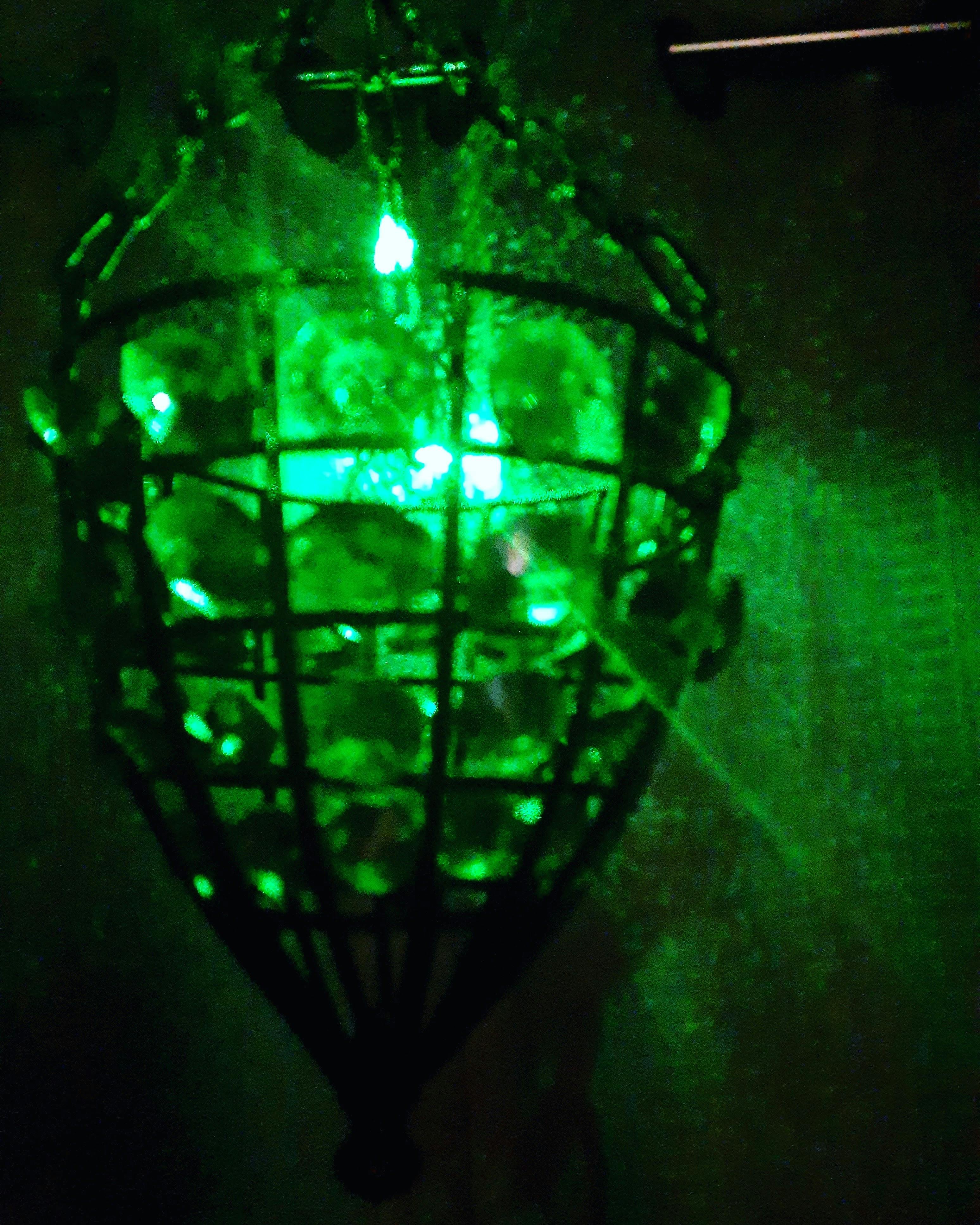 Close-up of freshly prepared Kimchi in a glass bowl.