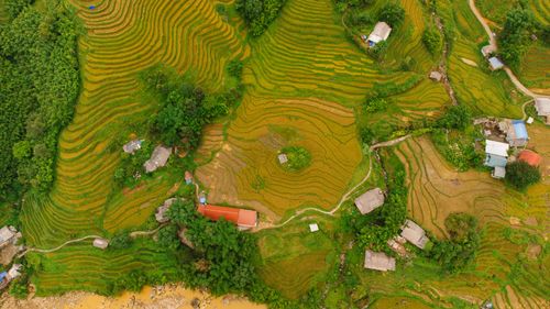 Free Aerial view of vibrant rice terraces and rural houses in Northern Vietnam's scenic countryside. Stock Photo