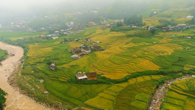 Stunning aerial view of rice terraces in Vietnam's misty countryside.
