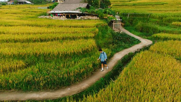 A person walks along a path through vibrant rice terraces in Vietnam, capturing the essence of rural life.