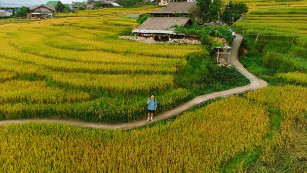 Vibrant rice fields with a lone traveler on a meandering path in rural Vietnam.