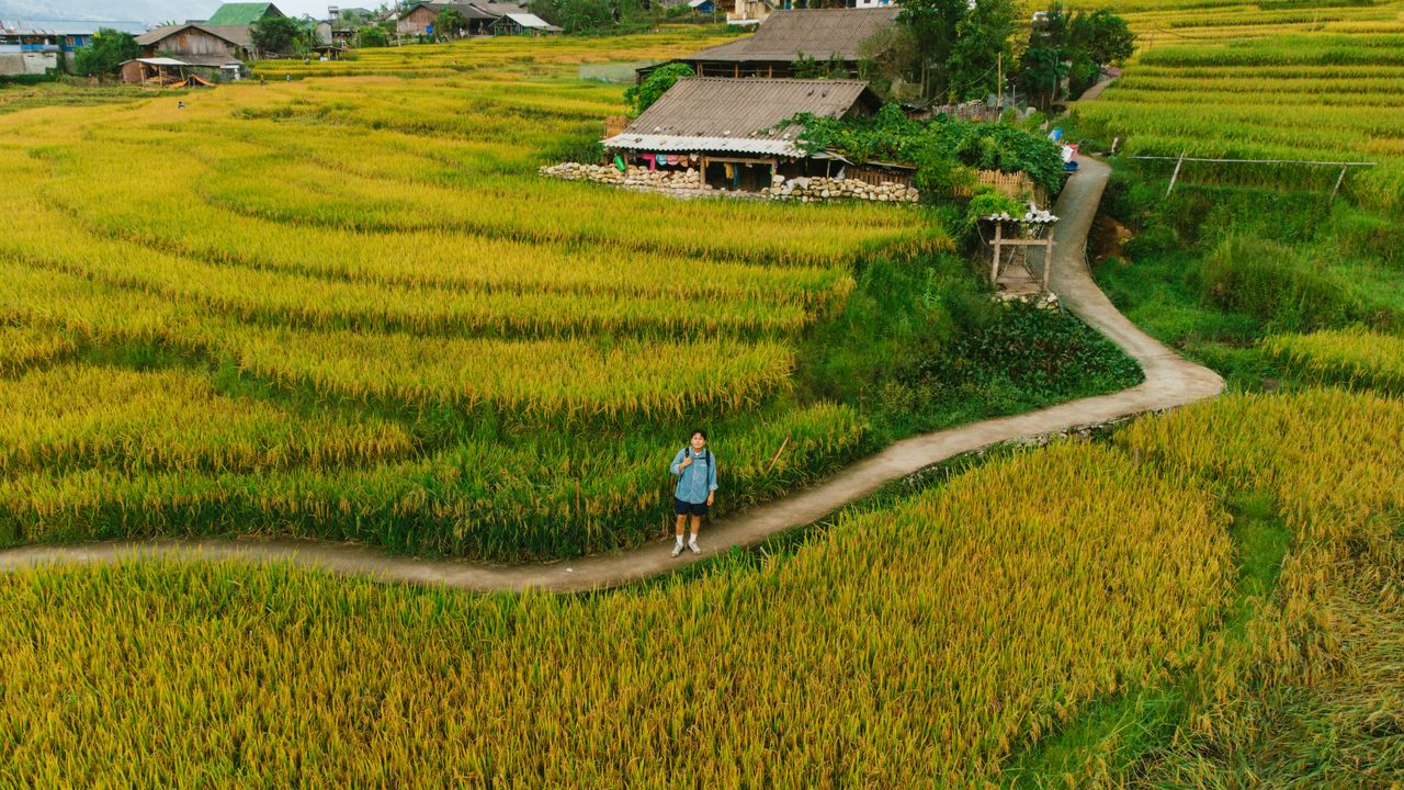 A backpacker walks alone along a path between terraced rice fields in Vietnam