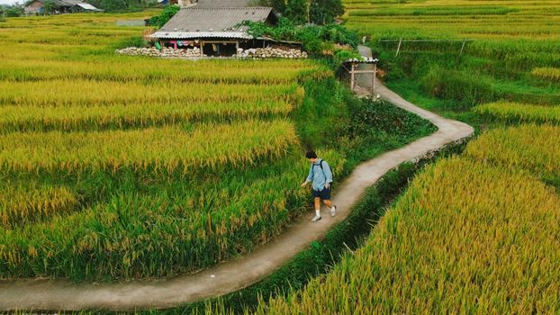 A person strolls along a path amidst vibrant rice terraces in Northern Vietnam, capturing rural serenity.