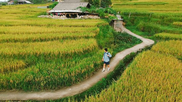 Aerial view of a traveler walking through lush rice terraces in Vietnam, showcasing rural beauty.
