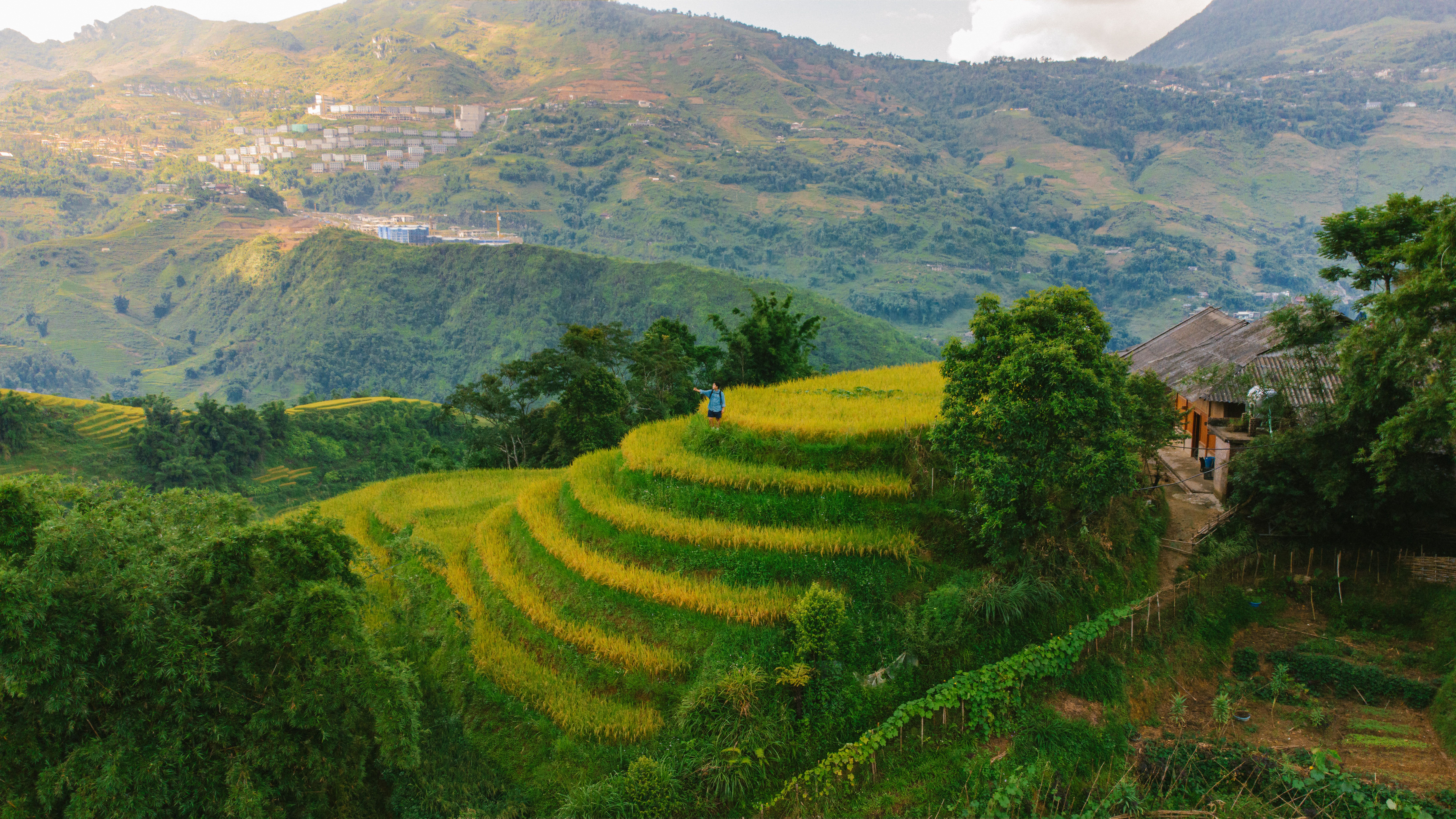 Picturesque rice terraces in Lao Cai, Vietnam, showcasing vibrant greens and rural life.