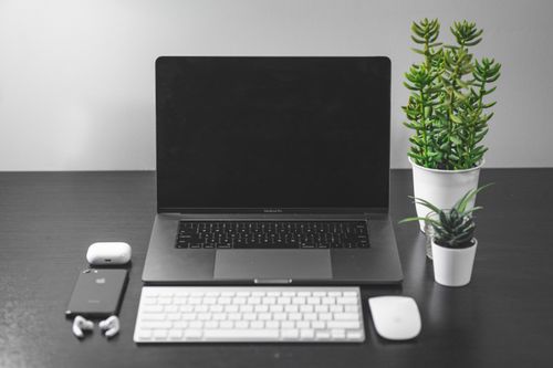 Bright desk with laptop and plant — Jean-Daniel Francoeur on Pexels