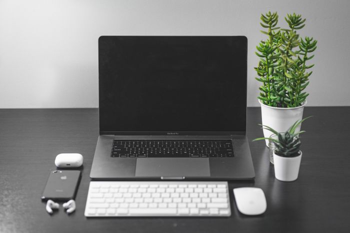 Clean minimal desk with a laptop, phone and plants