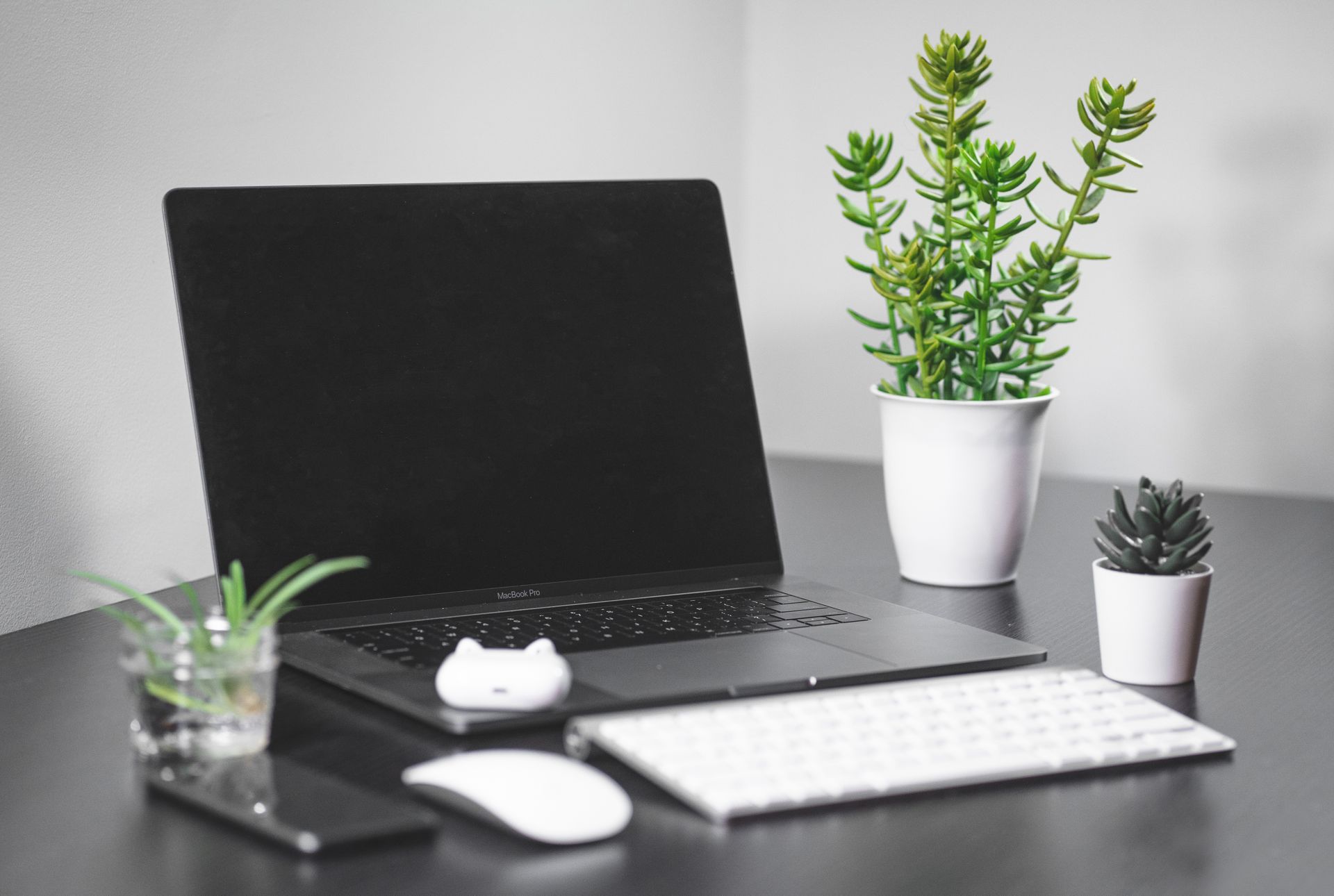A sleek desk setup featuring a MacBook Pro, keyboard, mouse, smartphone, and potted plants.