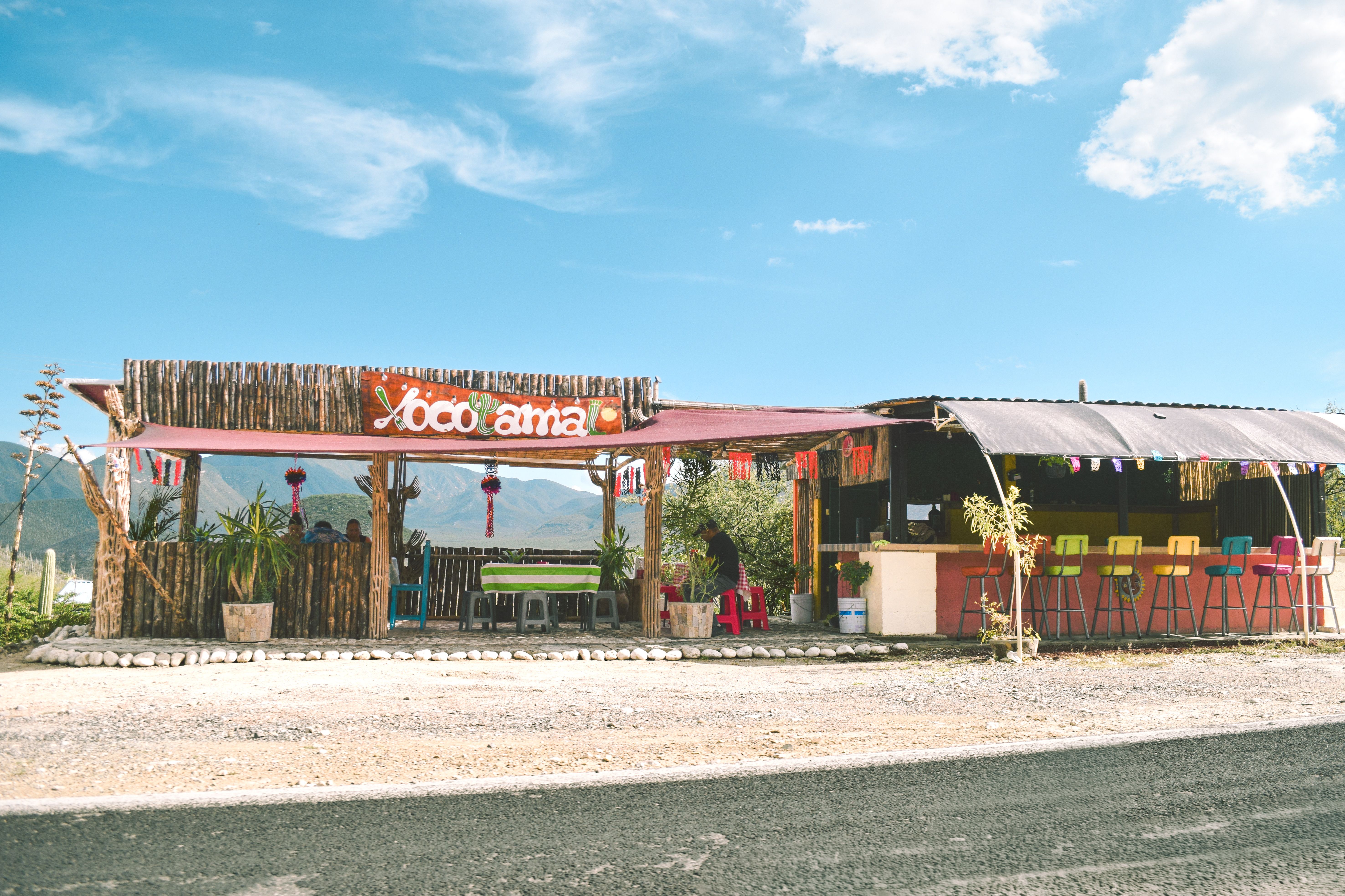 Koongamia
