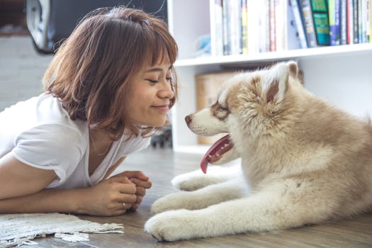 Free stock photo of woman, girl, animal, feelings