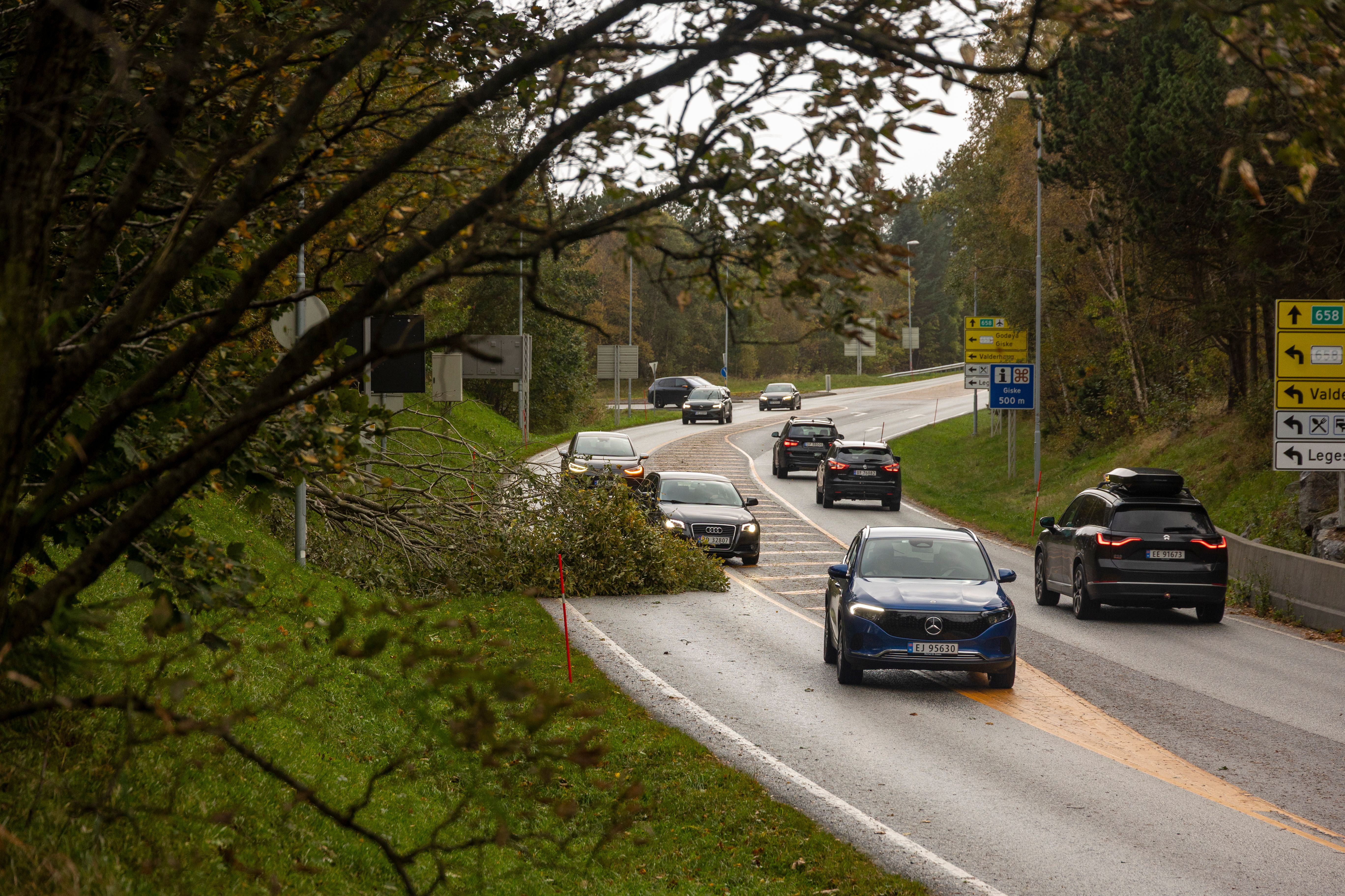 Traffic on a road partially blocked by a fallen tree branch in autumn.