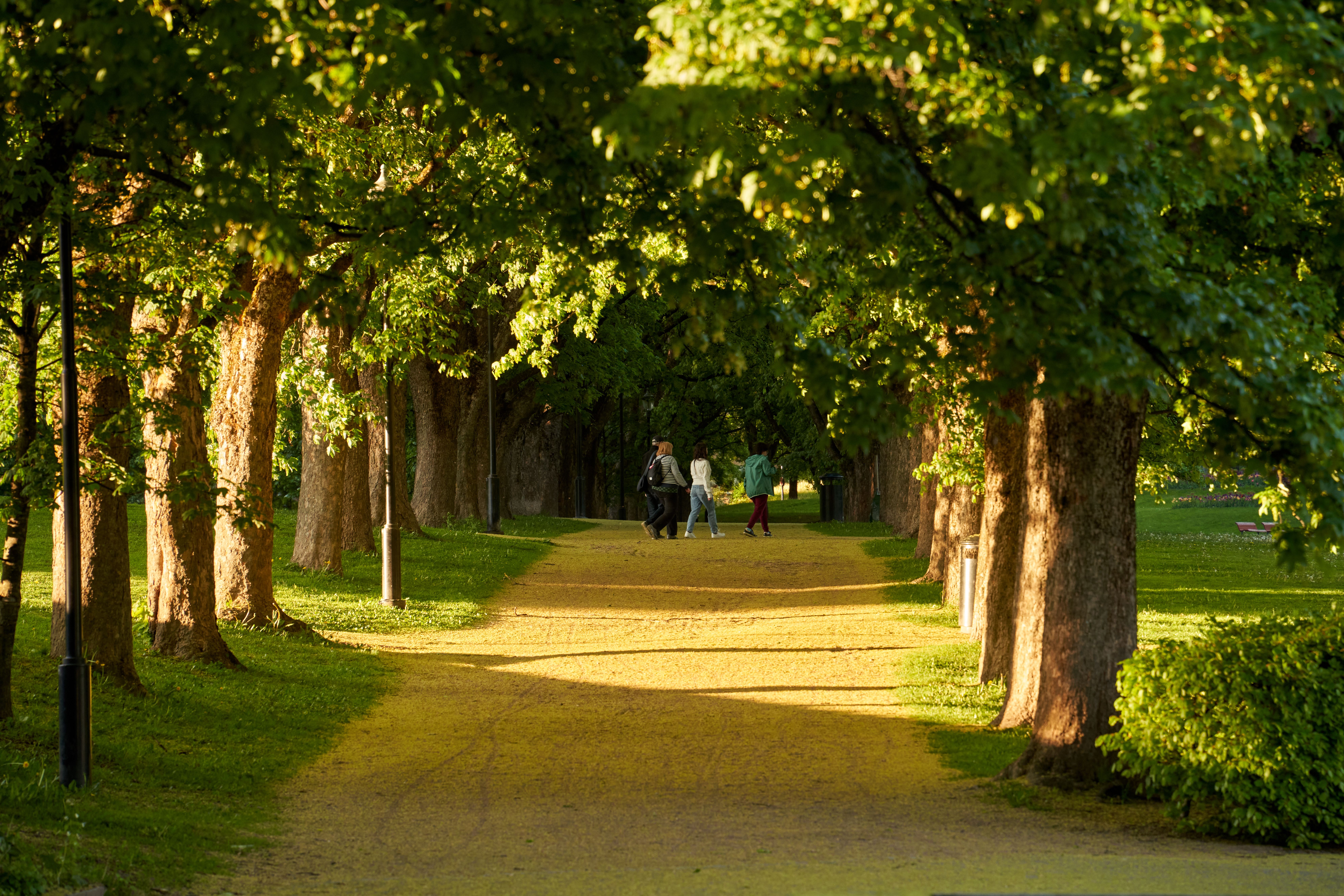 Linden Park