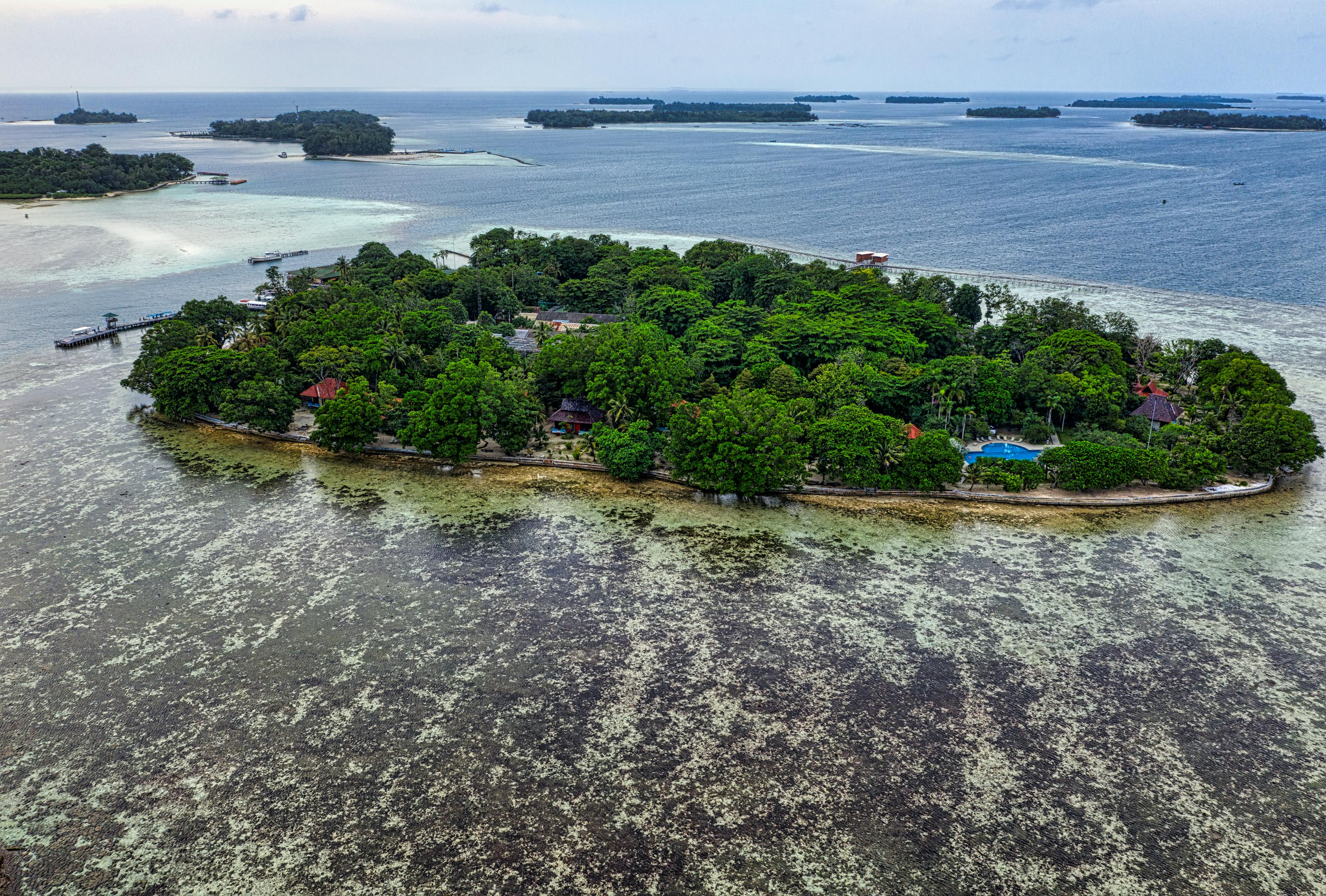 green-trees-on-island-free-stock-photo