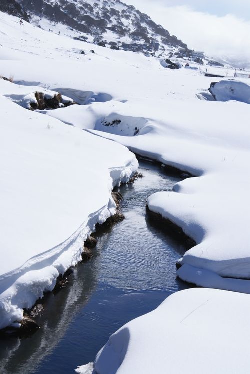 Free A tranquil mountain stream flows through a snow-covered landscape in Australia Stock Photo