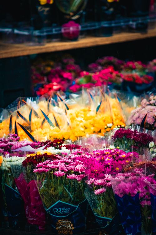 Free Colorful array of flowers in a Brazilian market showcasing rich hues of pink, yellow, and purple. Stock Photo