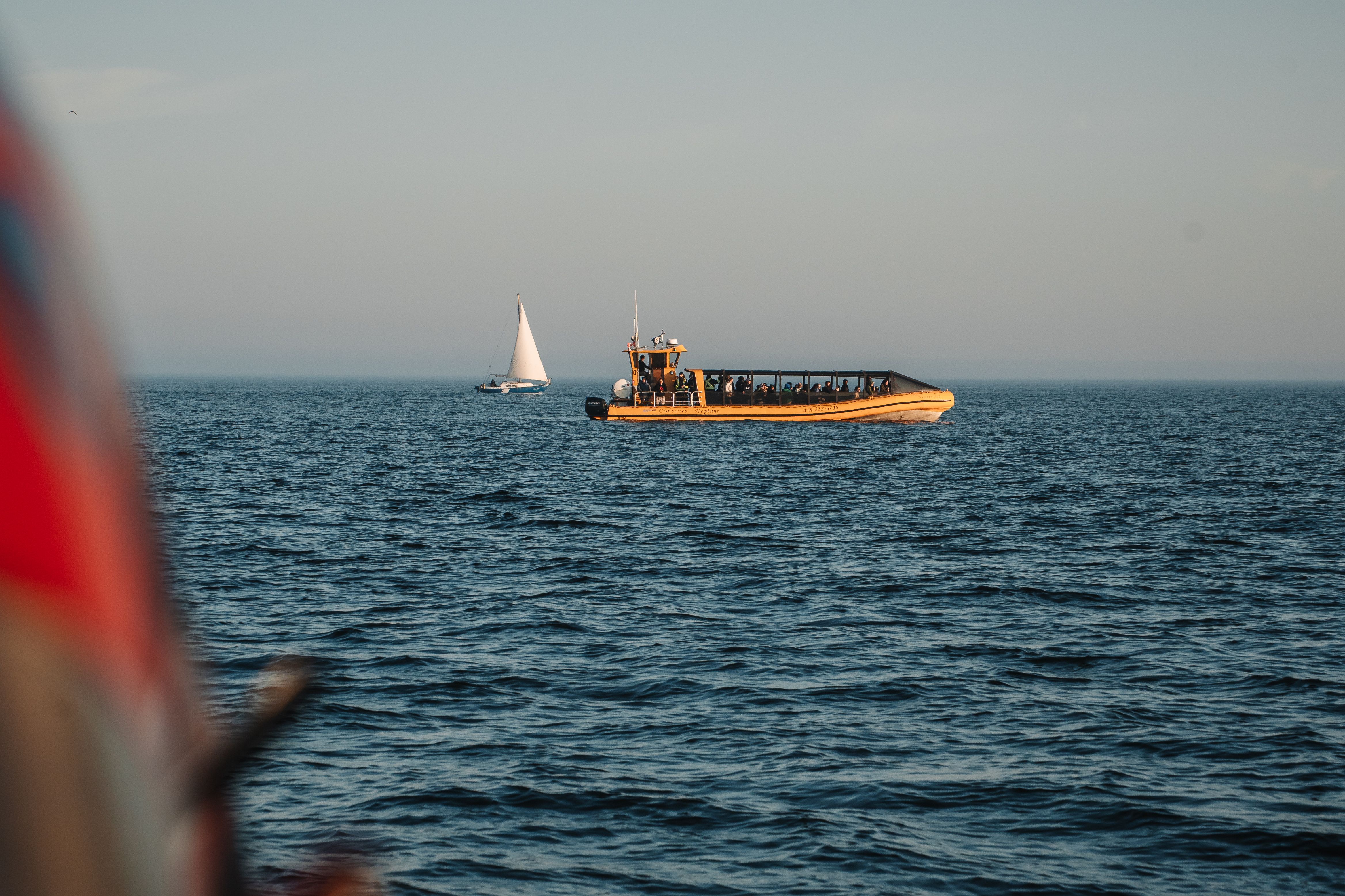 Tour boats navigating the waters of Tadoussac, Québec, Canada during a serene sunset.