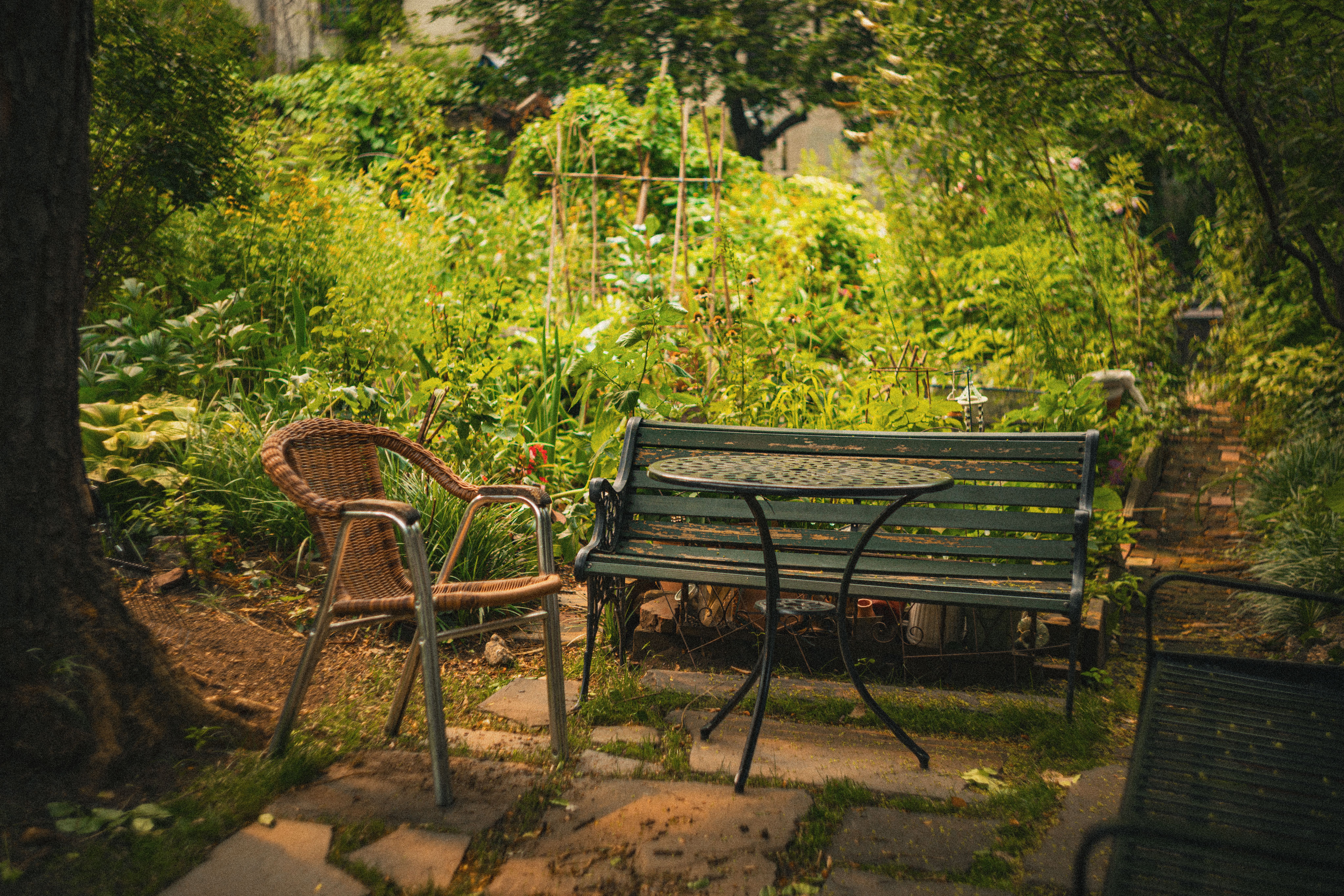 Tranquil garden seating area with metal bench and wicker chair surrounded by lush greenery.