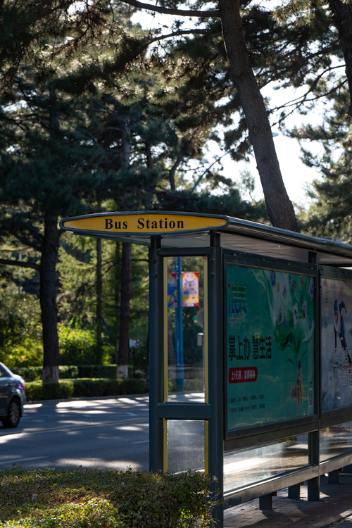 Free A bus station in Changchun, China, is surrounded by lush green trees, offering a serene and peaceful urban setting. Stock Photo