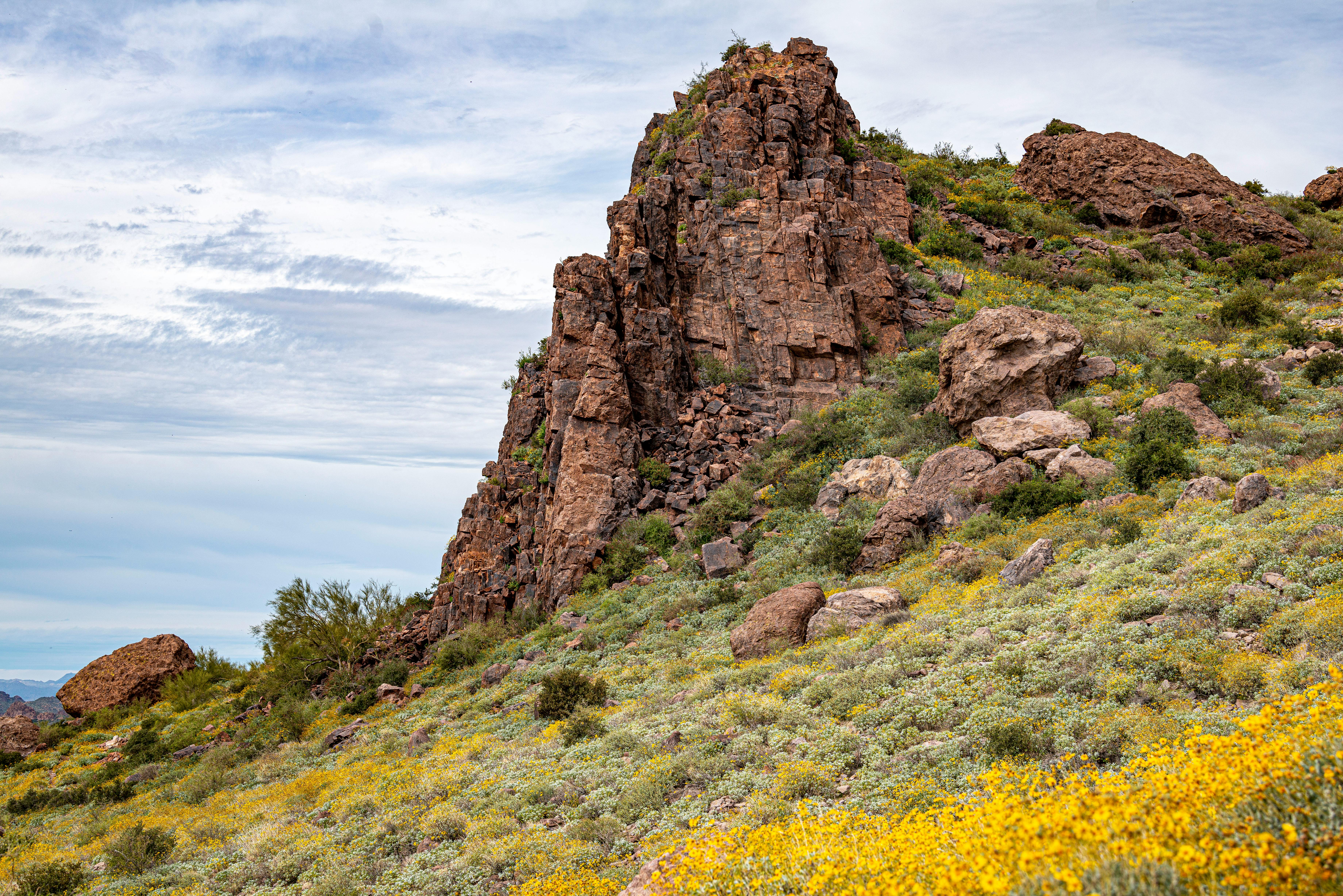 What Is The Difference Between A Margarita And A Daiquiri Difference