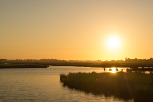Free A peaceful sunrise over a calm river landscape with golden tones creating a serene and tranquil atmosphere. Stock Photo