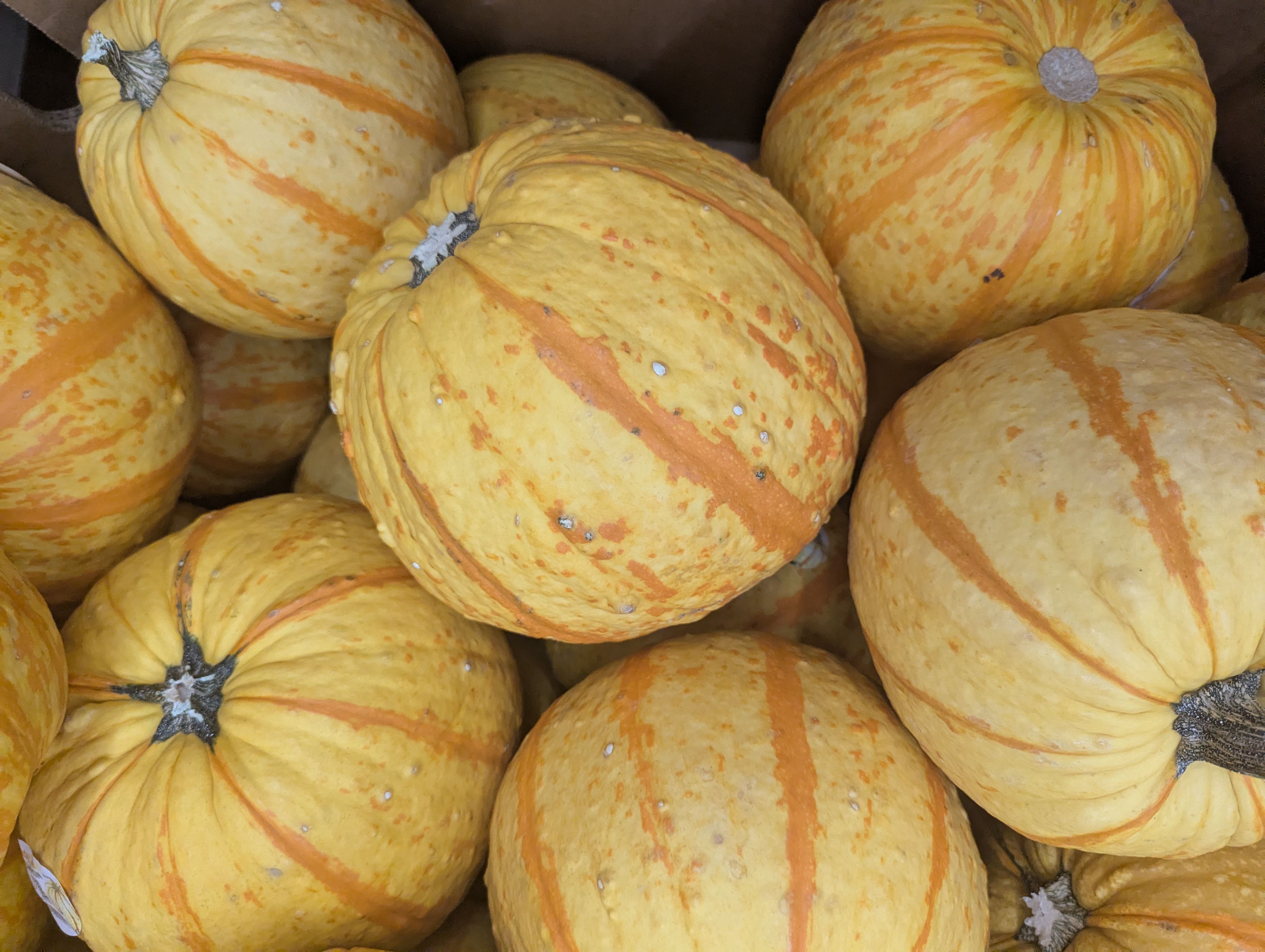 A collection of vibrant orange and yellow winter squash for sale at a market.