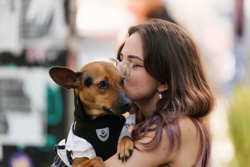 Free Young woman lovingly kisses her small dog during a sunny day outdoors, showcasing deep bond. Stock Photo