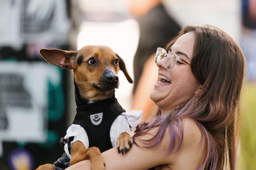 Free A woman laughing while holding a cute Dachshund dog in an outdoor setting. Stock Photo