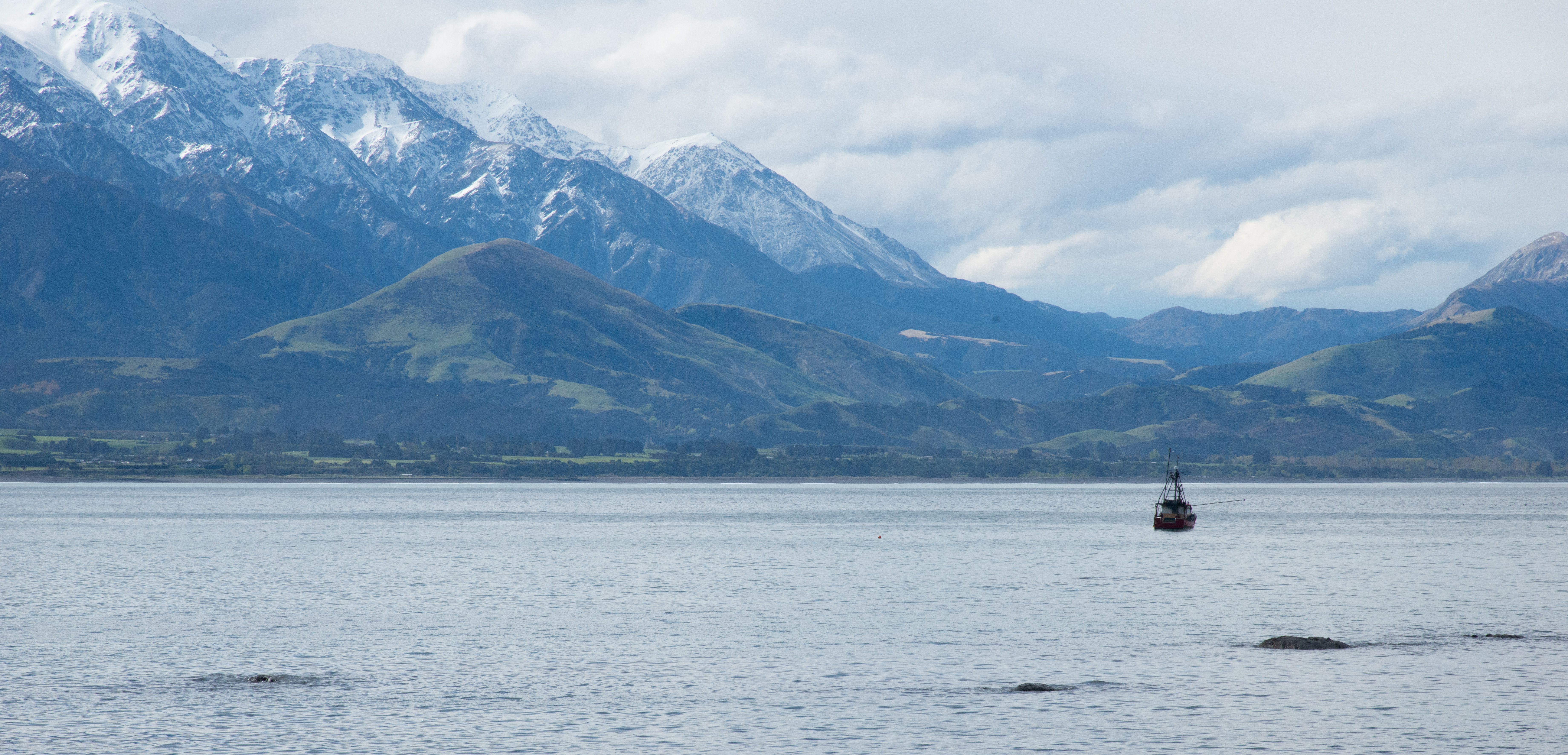 Airport transfers in Kaikoura