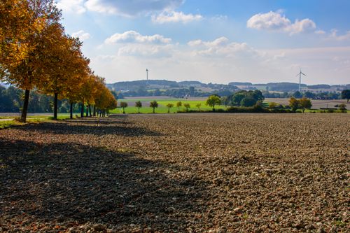 Free Beautiful autumn scene with trees and farmland in Coesfeld, Germany. Stock Photo