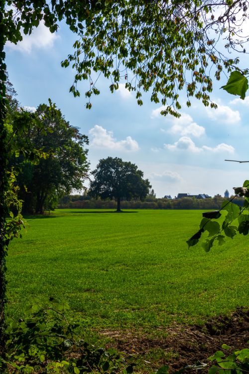Free A tranquil scene of a lush green field surrounded by trees under a bright blue sky in Coesfeld, Germany. Stock Photo