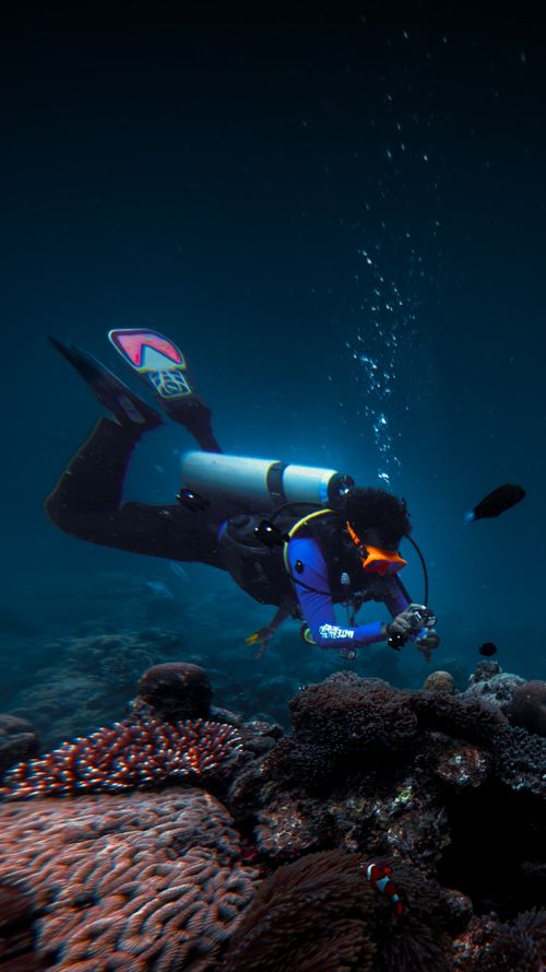 Free Scuba diver explores colorful coral reef in deep sea environment, showcasing marine life diversity. Stock Photo