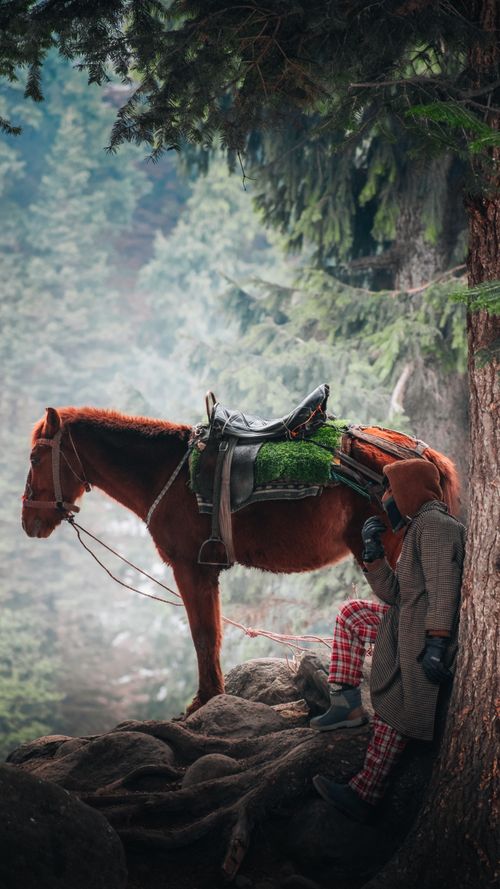Free A person sits under a tree beside a saddled horse, capturing a serene forest scene. Stock Photo