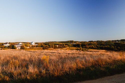 Free Golden fields with distant houses under a clear blue sky at sunset. Perfect for nature themes. Stock Photo