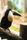 toucan