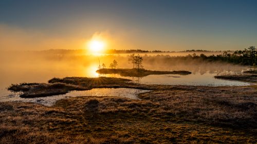 Free Capture the serene beauty of a sunrise over a misty bog lake, evoking tranquility. Stock Photo