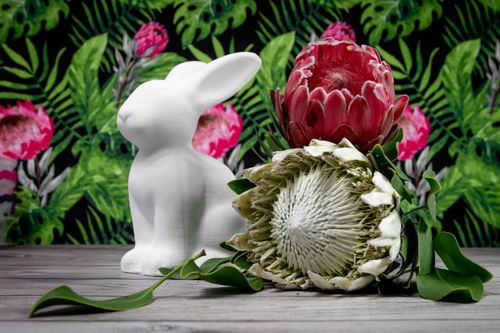 Free A white bunny sculpture with vibrant protea flowers against a tropical leafy background. Stock Photo