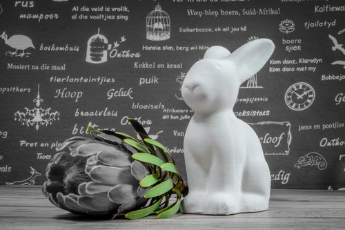 Free White ceramic bunny with protea flower on background with text, symbolizing Easter and South Africa. Stock Photo