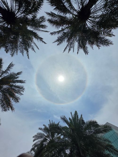 Free stock photo of afternoon sun, halo Stock Photo