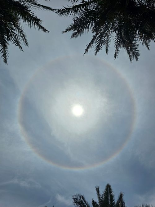 Free stock photo of afternoon sun, halo Stock Photo