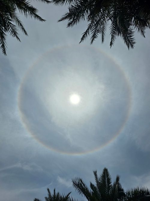 Free stock photo of afternoon sun, halo Stock Photo