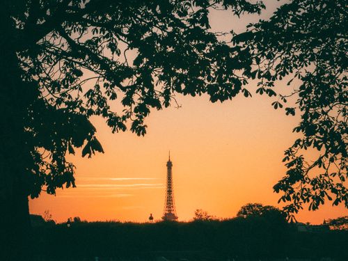 Free Breathtaking view of the Eiffel Tower framed by trees at sunset in Paris, France. Stock Photo