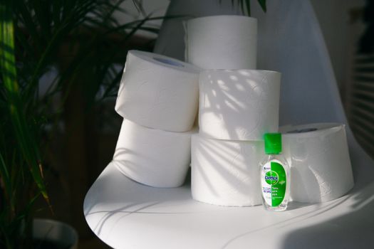 A still life with toilet paper rolls and hand sanitizer in natural light indoors.