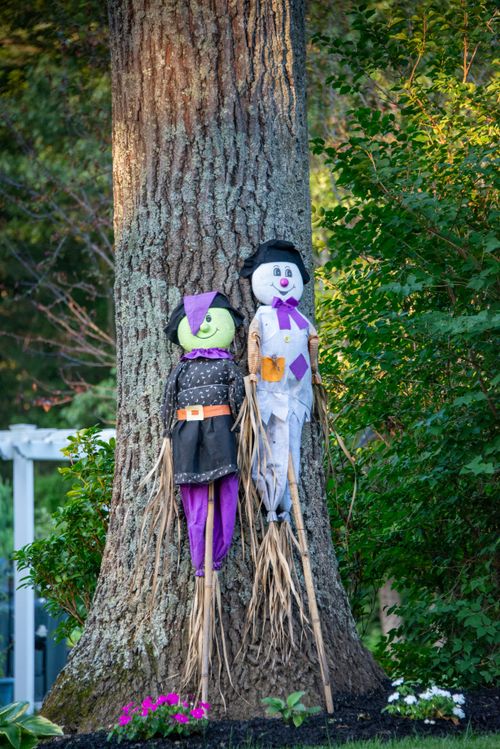 Free Colorful Halloween scarecrows against tree in Southborough, Massachusetts park. Stock Photo