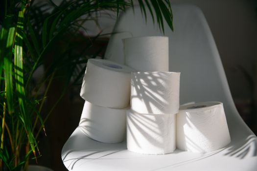 Toilet rolls stacked on a chair with natural plant shadows, indoor setting.