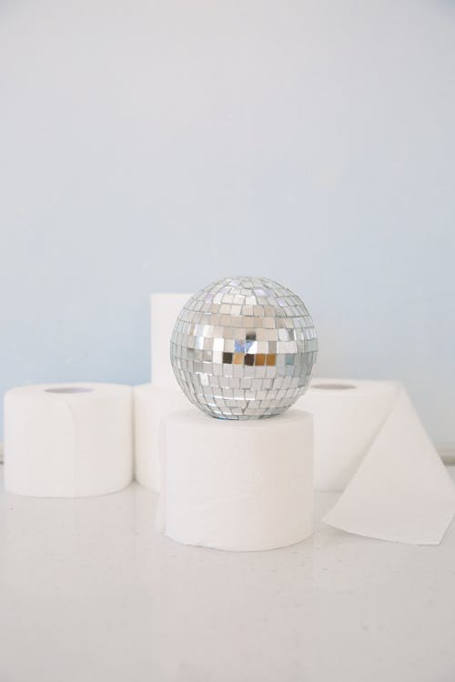 Toilet Paper and Silver Globe