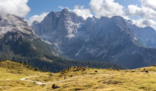 Free A picturesque landscape with cows grazing in the Dolomites, showcasing stunning alpine views under a bright summer sky. Stock Photo