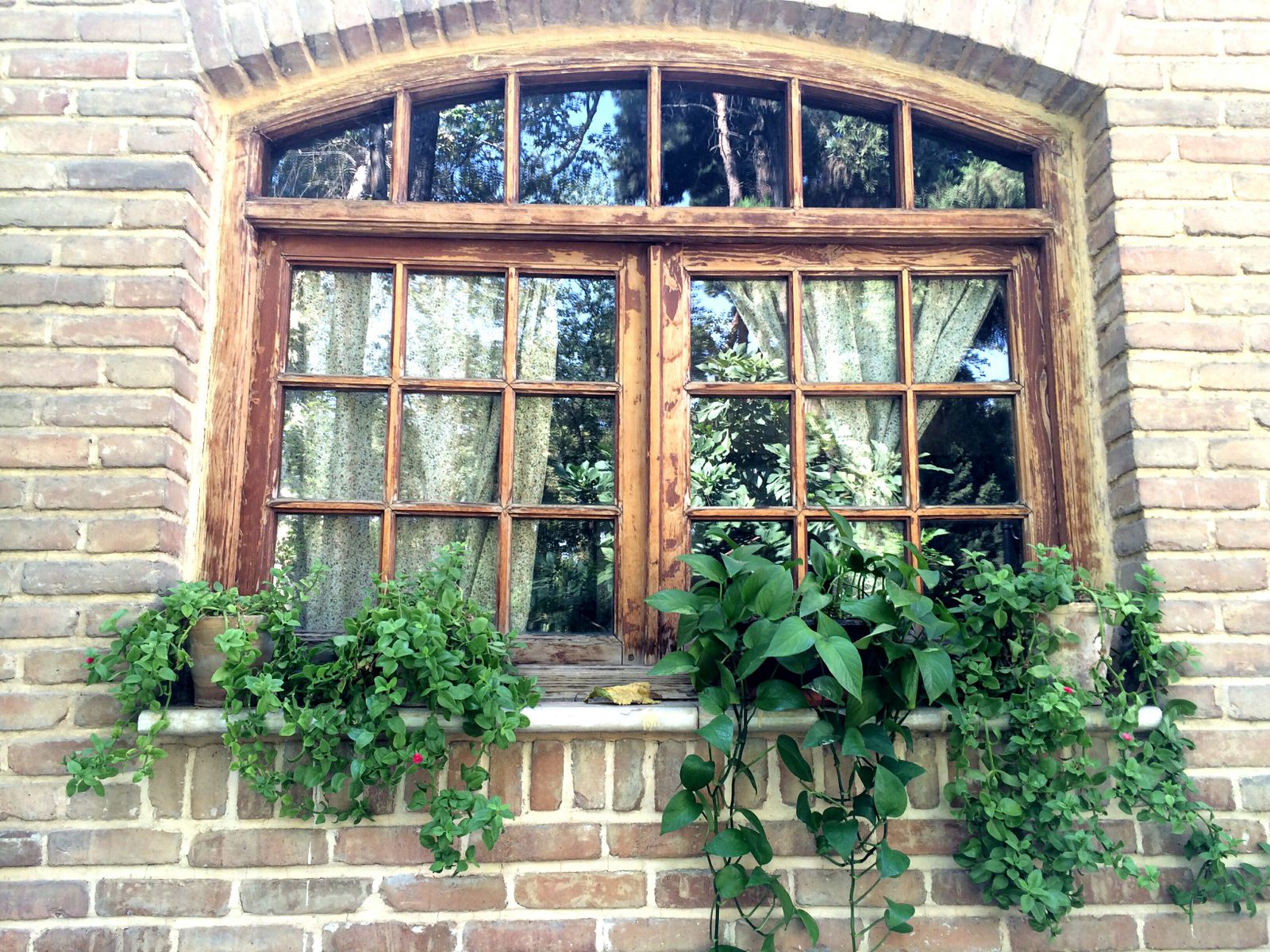 Charming storefront window — Mobile Design Service Business: The Thumb-Zone Guide