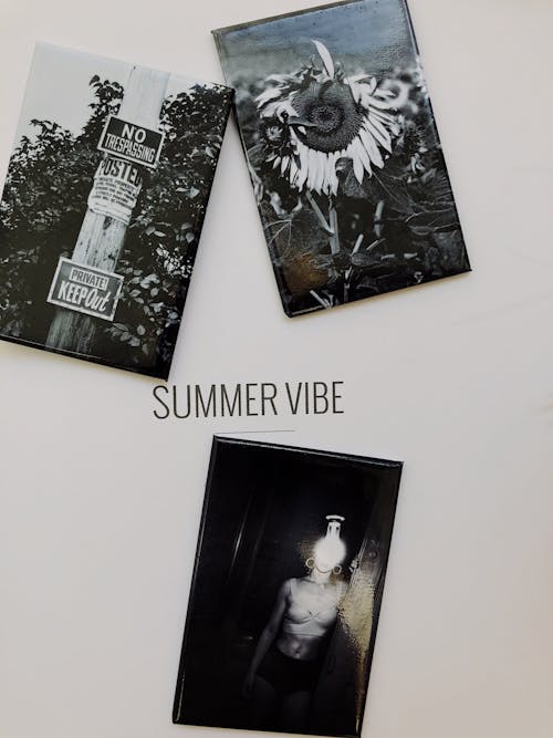 Free Collage of art photos placed on white page of album with Summer vibe inscription Stock Photo